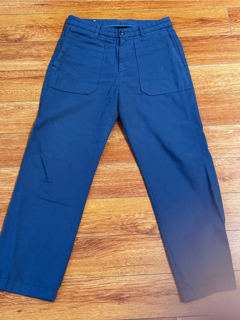 Blue Zara Men’s Pants